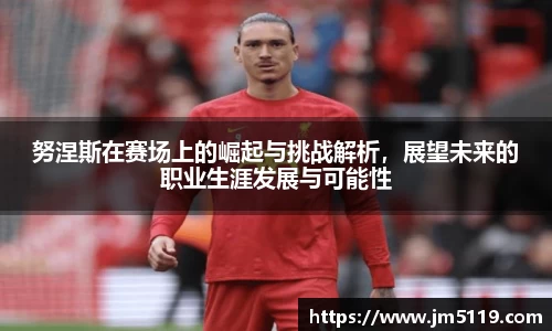 努涅斯在赛场上的崛起与挑战解析，展望未来的职业生涯发展与可能性